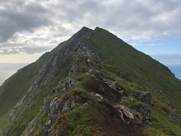 Photo 31-08-2018, 16 00 06