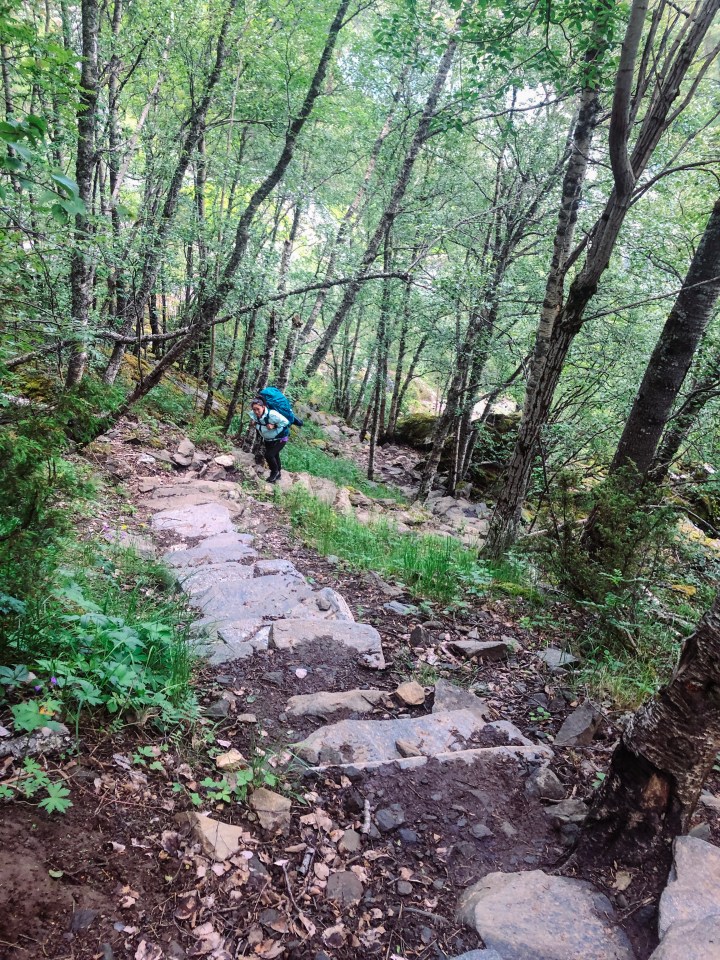 Photo 22-06-2019, 18 09 39