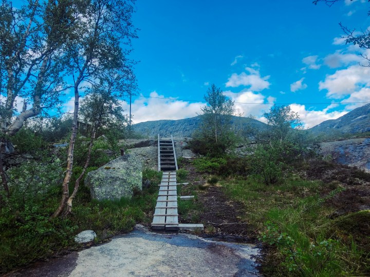 Photo 22-06-2019, 19 12 08