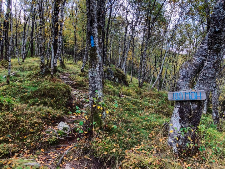 Photo 27-09-2019, 16 21 17